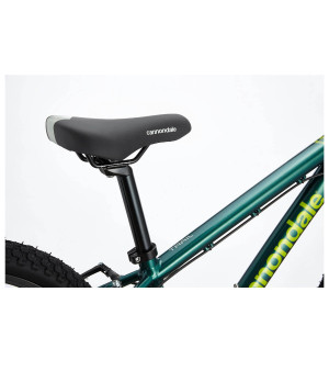 Rower Cannondale Trail 20 2023