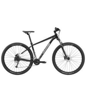 Rower Cannondale Trail 7 2021