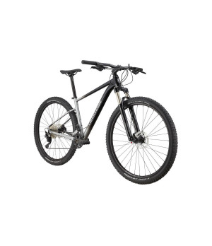 Rower Cannondale Trail SL 4 2021